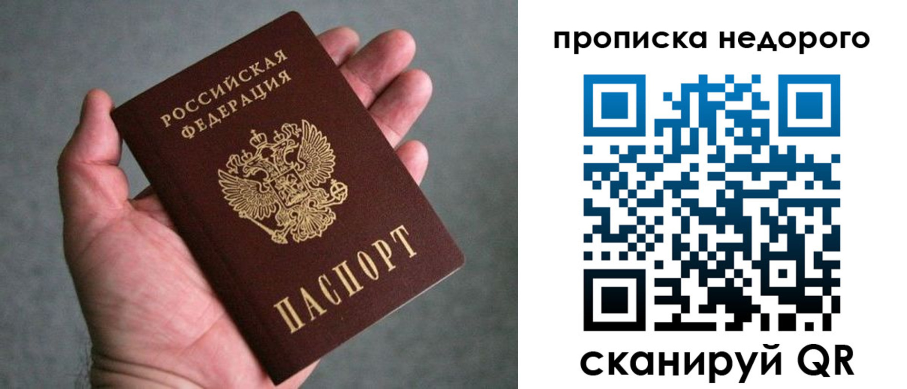 прописка поиск в Краснознаменске
